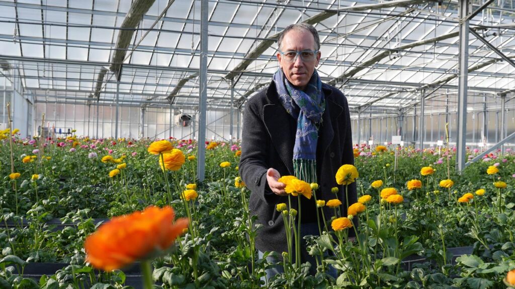 Alberto Biancheri, creatore di fiori